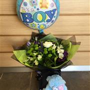 Baby Boy Collection