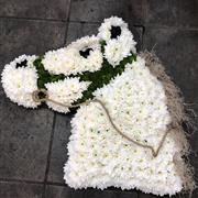 Horses Head
