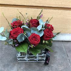 Rose Sensation - Set of 6 Bottles