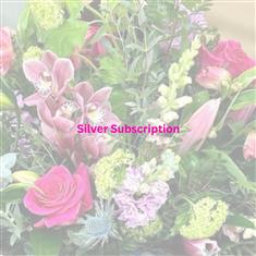 Silver Subscription