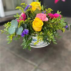 Cup and Saucer Arrangement