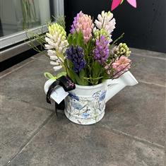 Scented Hyacinth Jug